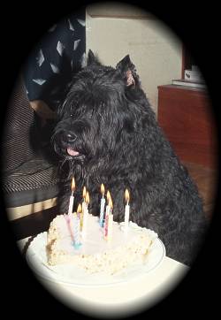 My ninth byrthdaycake