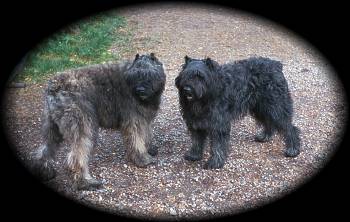 "Kaapo" & "Tanja