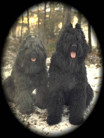 Tanja & S�rsselsson